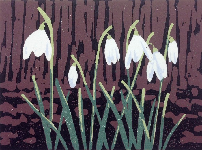 A Promise of Snowdrops by Alexandra Buckle