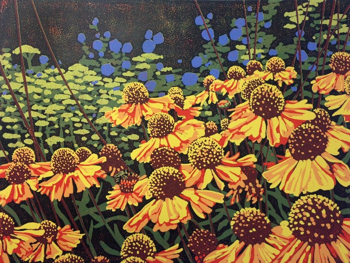 Daisy Delights by Alexandra Buckle