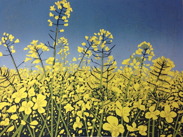 Sunshine Fields by Alexandra Buckle