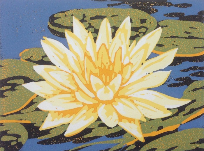 Waterlily by Alexandra Buckle