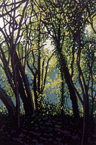 Woodland Haze by Alexandra Buckle