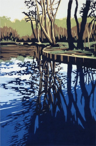 Trow Pool Reflection by Alexandra Buckle