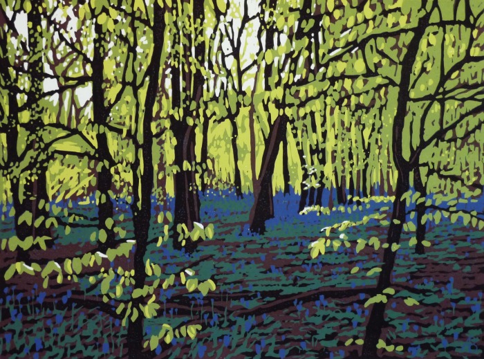 Bluebells on a Bright Day by Alexandra Buckle