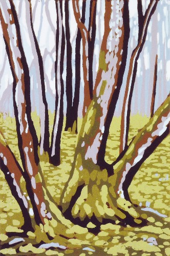 Late Winter Moss by Alexandra Buckle