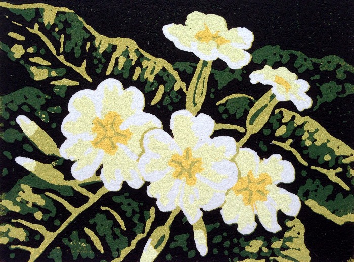 Primroses by Alexandra Buckle