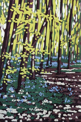 Bluebells by Alexandra Buckle