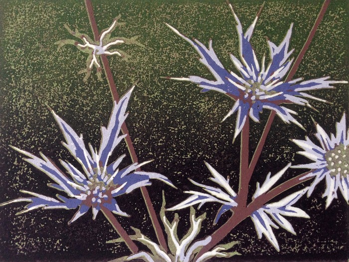 Blue Thistle by Alexandra Buckle
