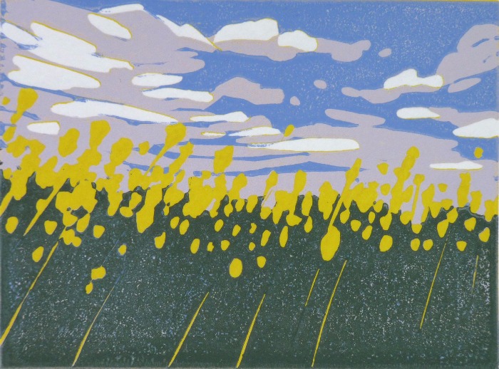 Mini Yellow Field by Alexandra Buckle