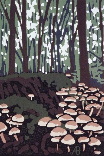 Stoke Wood Mushrooms by Alexandra Buckle