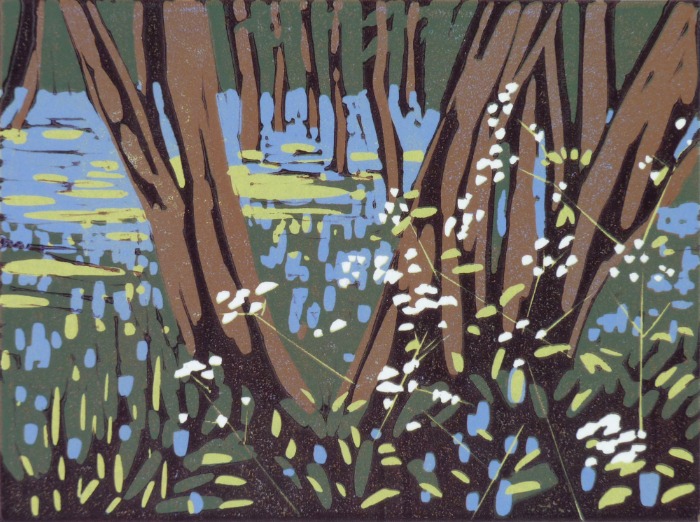 Mini Cow Parsley by Alexandra Buckle