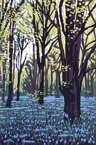 Stoke Wood Bluebells by Alexandra Buckle