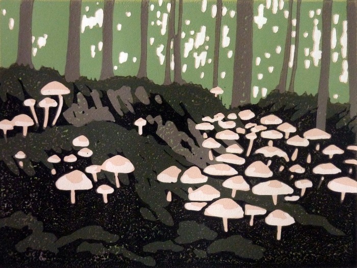 Mini Mushrooms by Alexandra Buckle