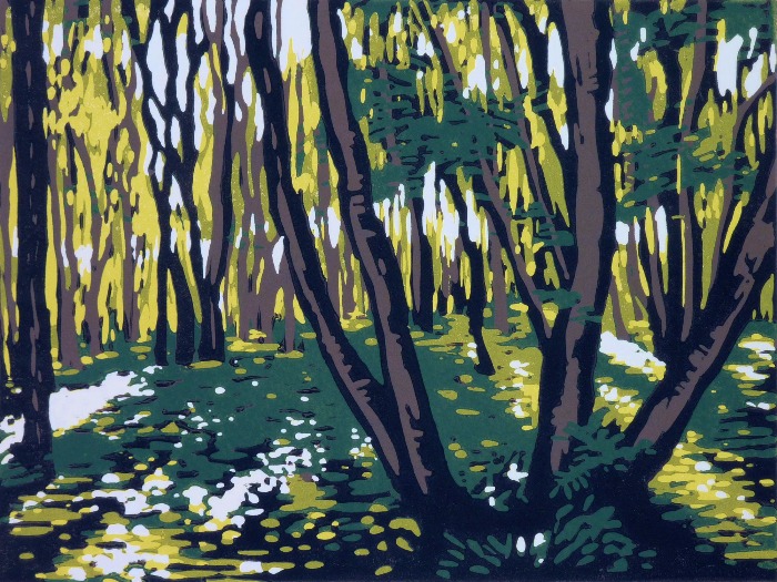 Stoke Wood in Summer by Alexandra Buckle