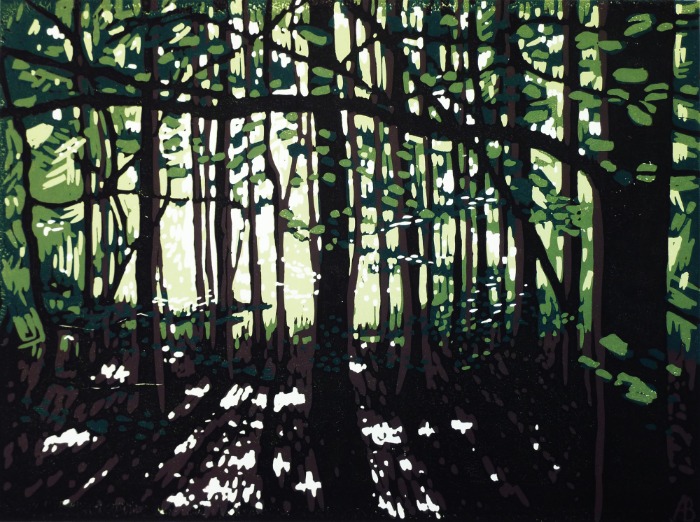 Summer Colour at Stoke Wood by Alexandra Buckle