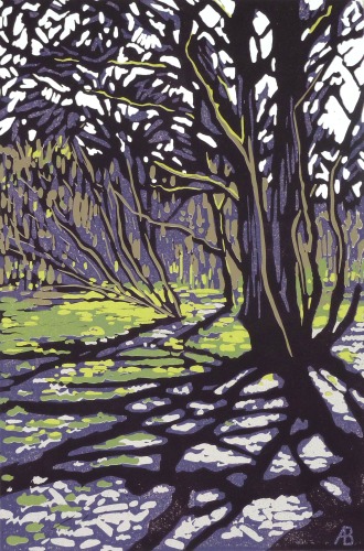 Tree Casts Shadow by Alexandra Buckle