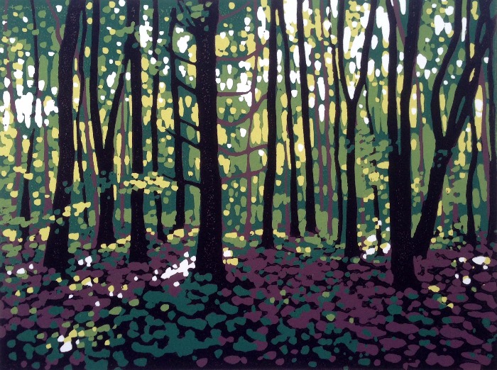 Summer Woodland by Alexandra Buckle