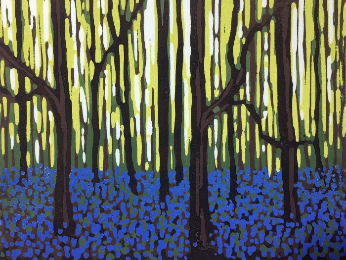 Bluebell Time by Alexandra Buckle
