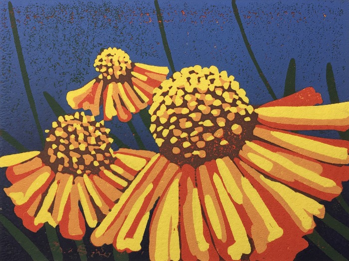 Daisies by Alexandra Buckle