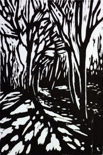 Spring Light at Stoke Wood by Alexandra Buckle