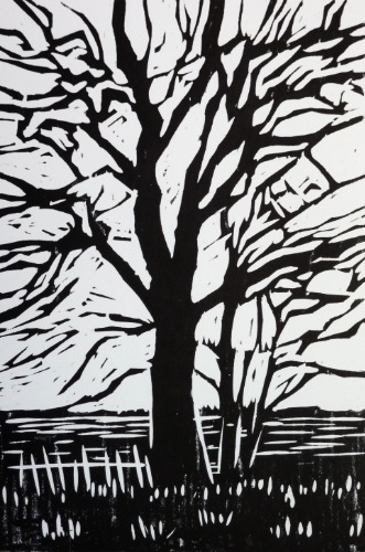 Tree Silhouette by Alexandra Buckle