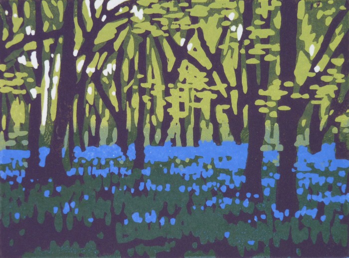 Mini Bluebells by Alexandra Buckle