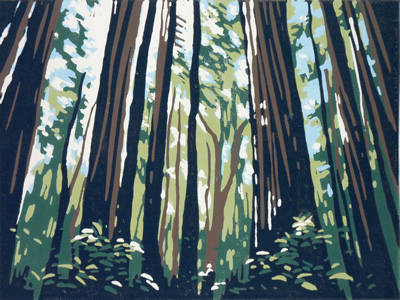 Sunlight Through Redwoods #2 by Alexandra Buckle
