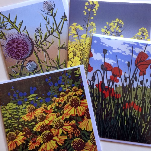Greetings cards, set of four floral images by Alexandra Buckle
