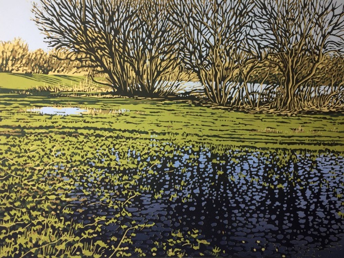 Lakeside Puddles by Alexandra Buckle