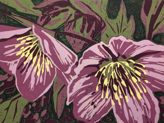 Woodland Hellebore by Alexandra Buckle