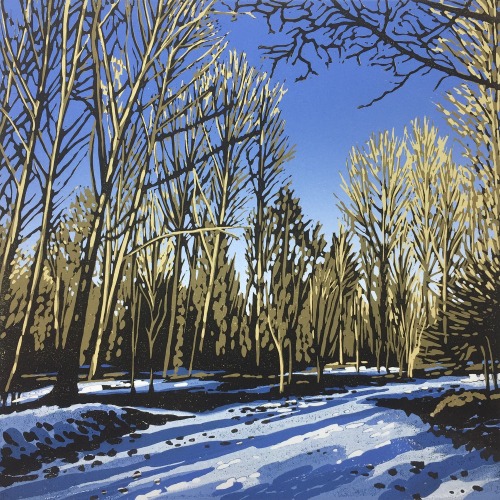 Woodland Snow by Alexandra Buckle
